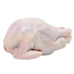 Buy Frozen Whole Turkey