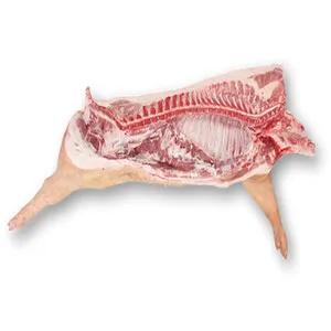 Buy Frozen Pork Carcass