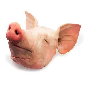 Buy Frozen Pork Head