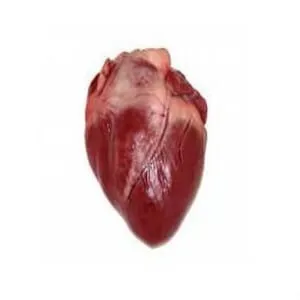 Buy Frozen Pork Heart